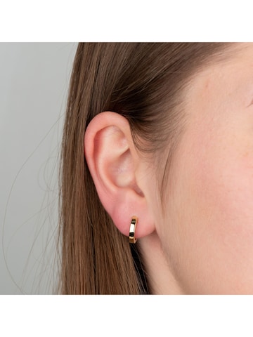 Orolino Earrings in Yellow: front