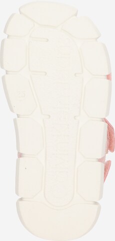 Calvin Klein Jeans Sandaler i pink