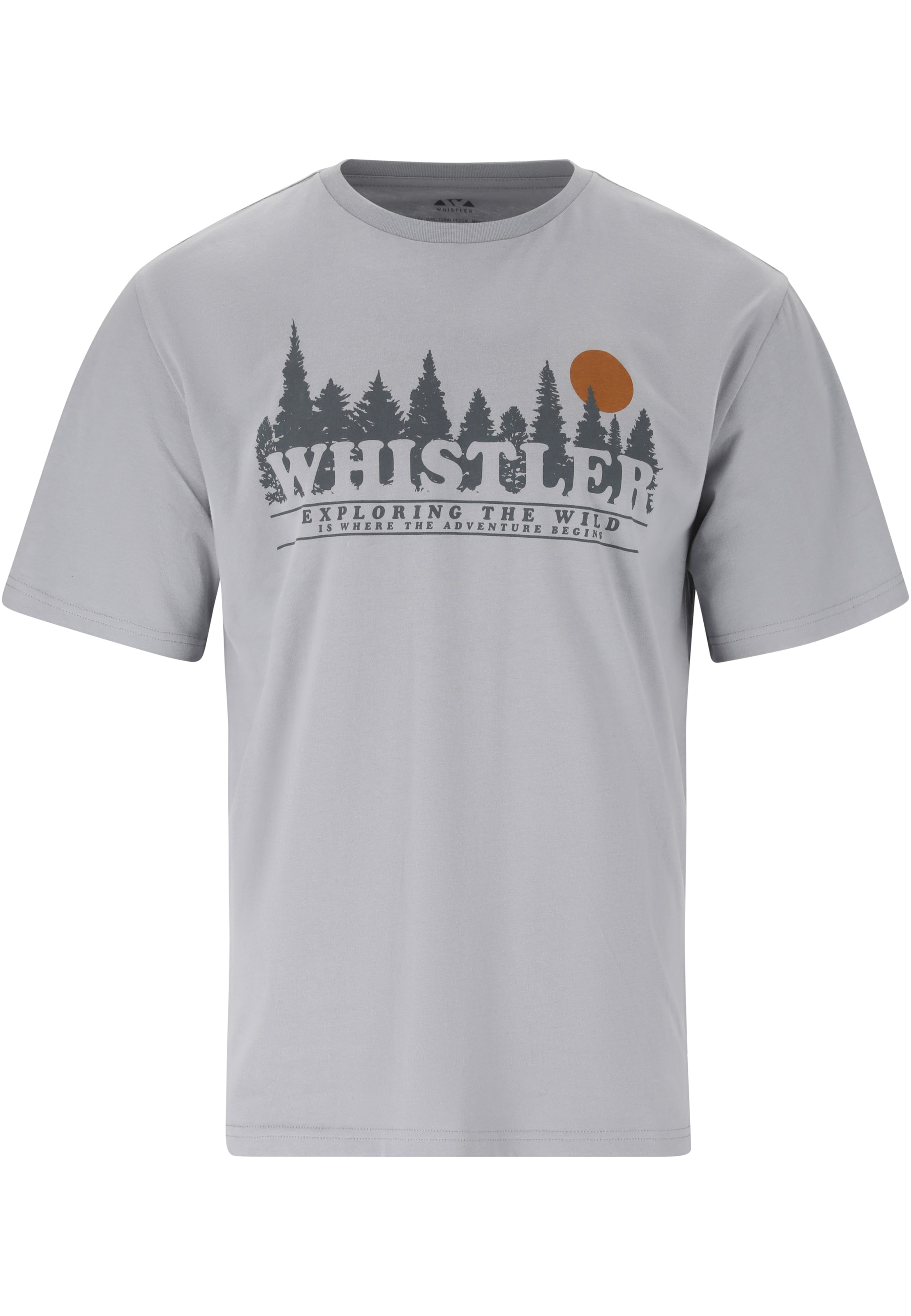 Whistler T-Shirt 'Cashew' in Grau: Vorderseite