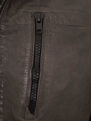 Jilani Tussenjas 'Florens' in Bruin