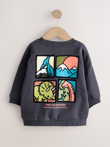 Next Sweatshirt in Grey