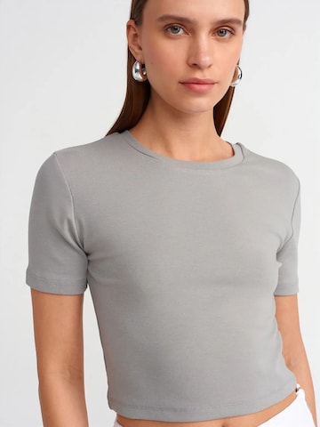Dilvin T-Shirts in Grau