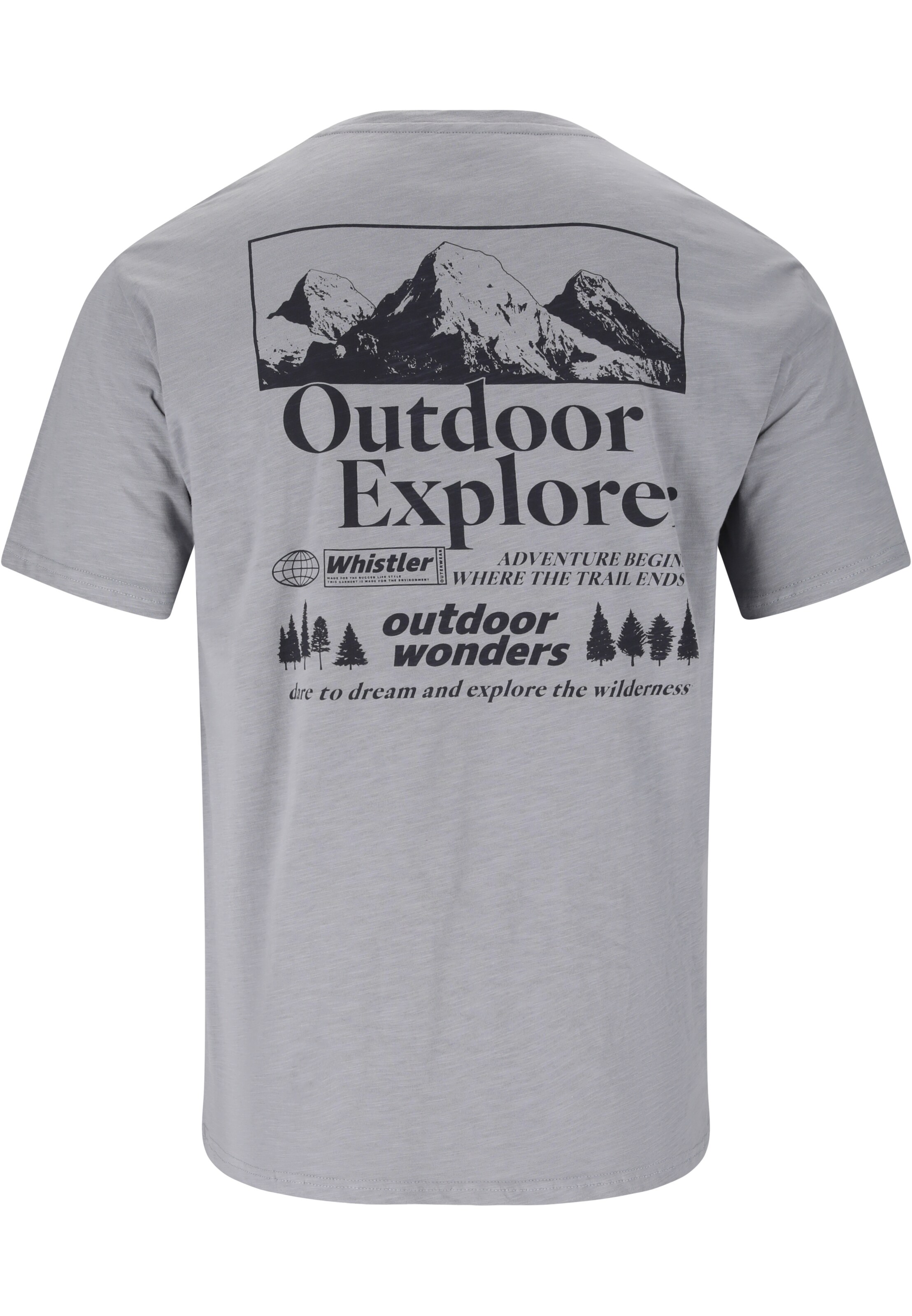 Whistler T-Shirt 'Kunta' in Grau