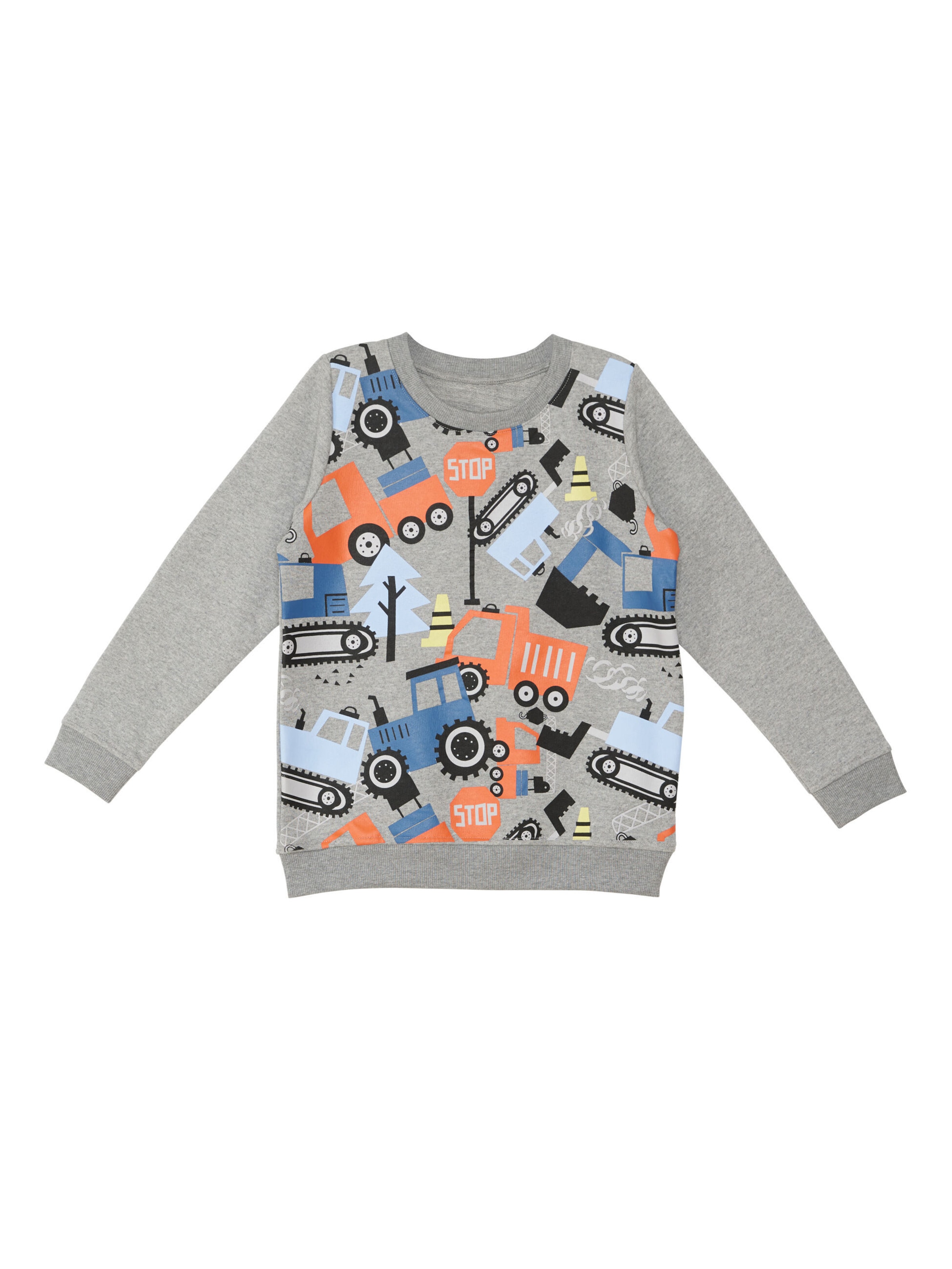 Denokids Sweatshirt in Grey: front