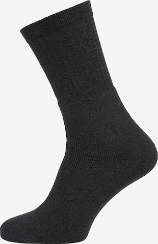 Albert Schäfer Socks in Grey