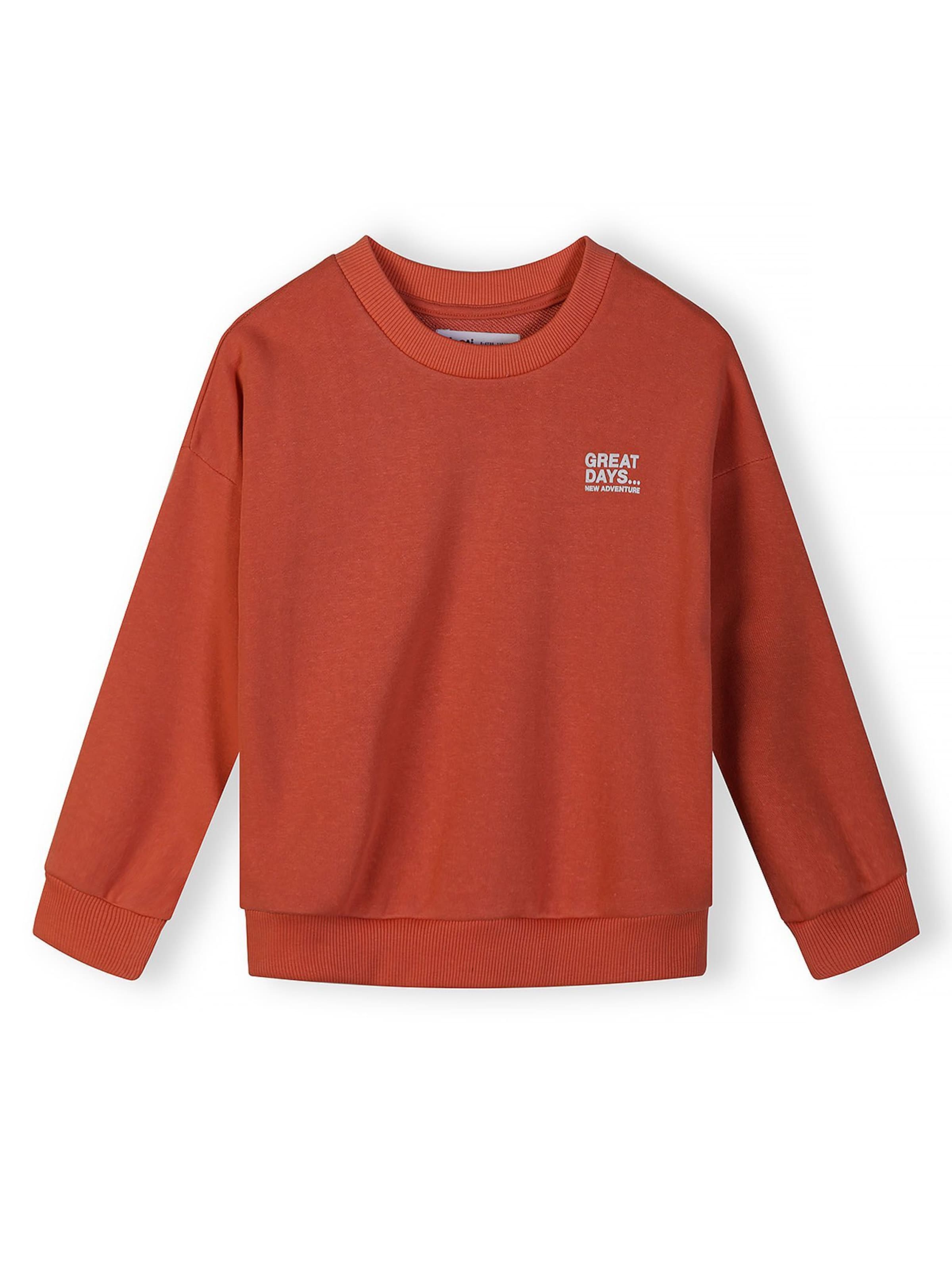 MINOTI Sweatshirt i blå