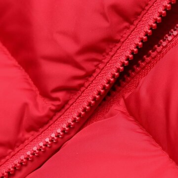 Aspesi Jacket & Coat in S in Red