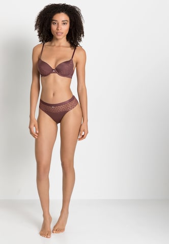 s.Oliver Push-up Bra in Brown