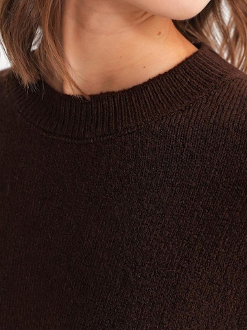 MixRay Trui in Bruin