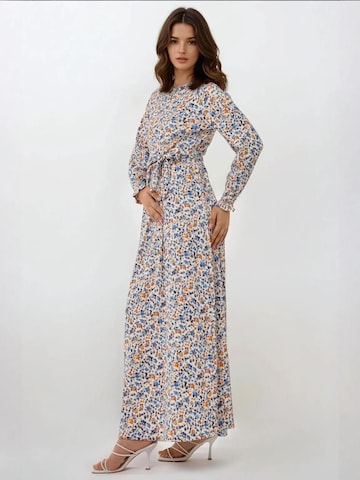 Hiccup Kleid in Blau