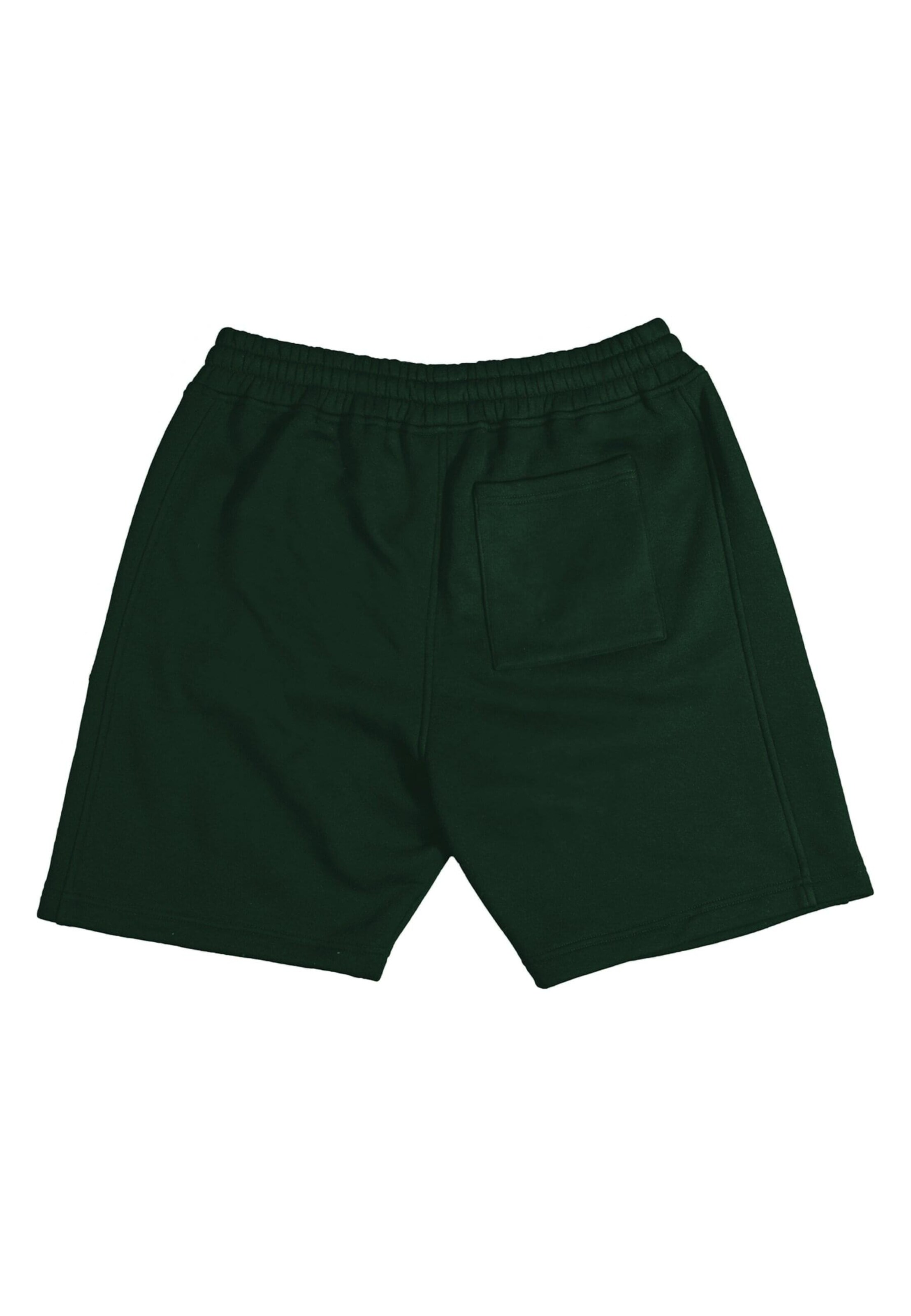 Prohibited Ohlapna forma Hlače | zelena barva