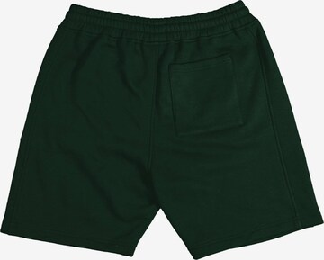 Loosefit Pantaloni de la Prohibited pe verde