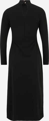 Oasis Petite Kleid in Schwarz