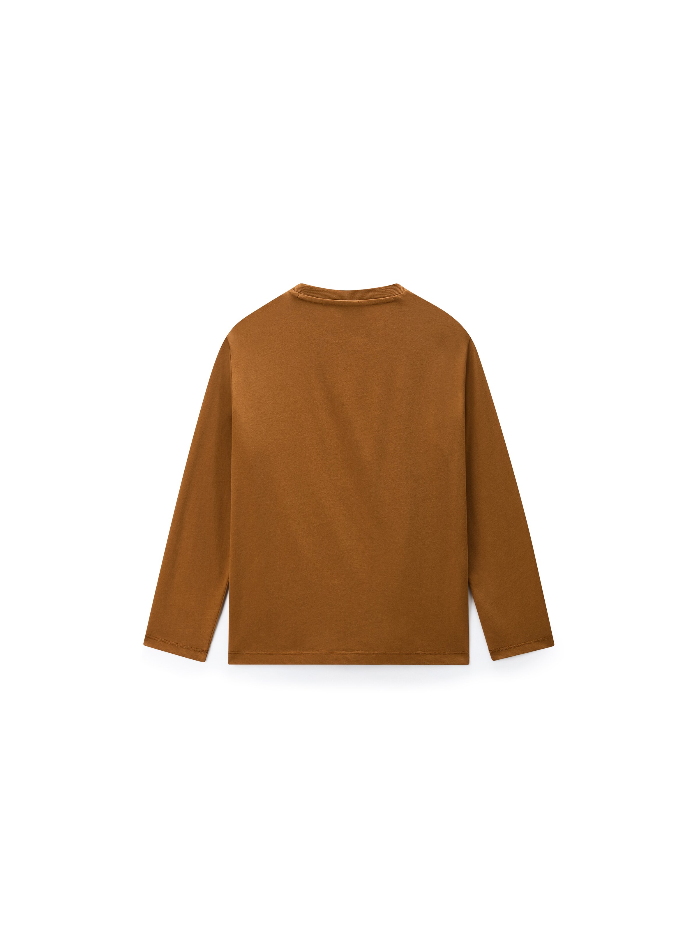 NAPAPIJRI Shirt in Brown