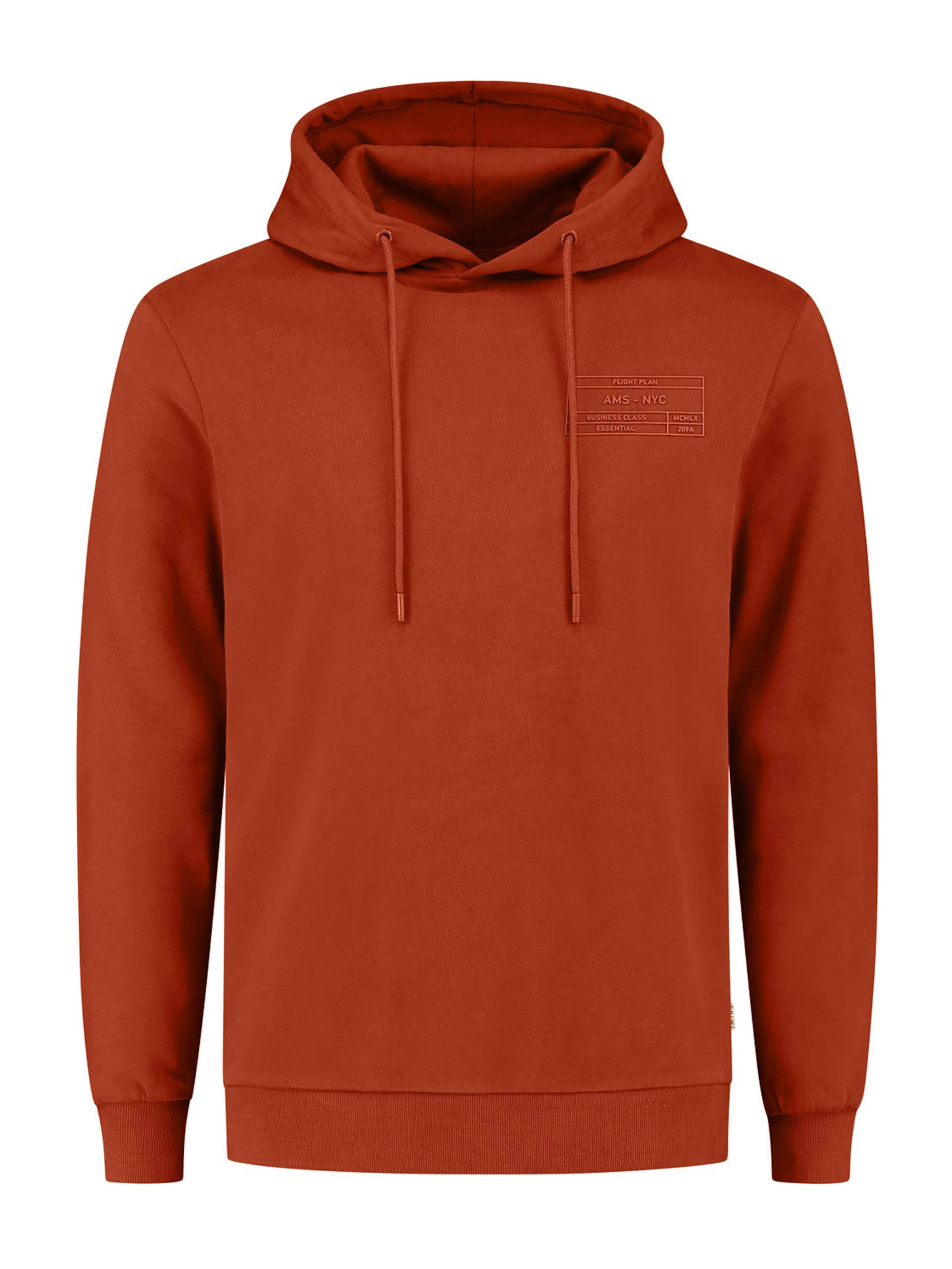 Shiwi Μπλούζα φούτερ σε καφέ: μπροστά