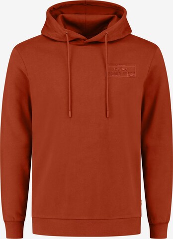 Sweat-shirt Shiwi en marron : devant