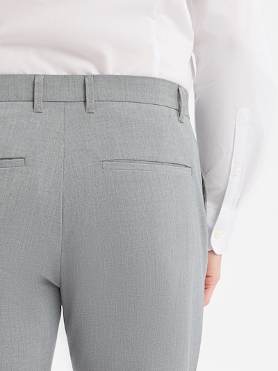 Finshley & Harding Pleat-Front Pants in Light grey, Item view