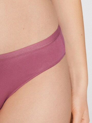 Tezenis Panty in Pink