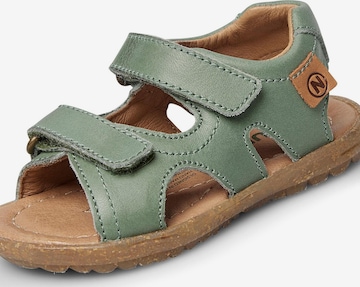 NATURINO Offene Schuhe 'SKY' in Grün: Vorderseite
