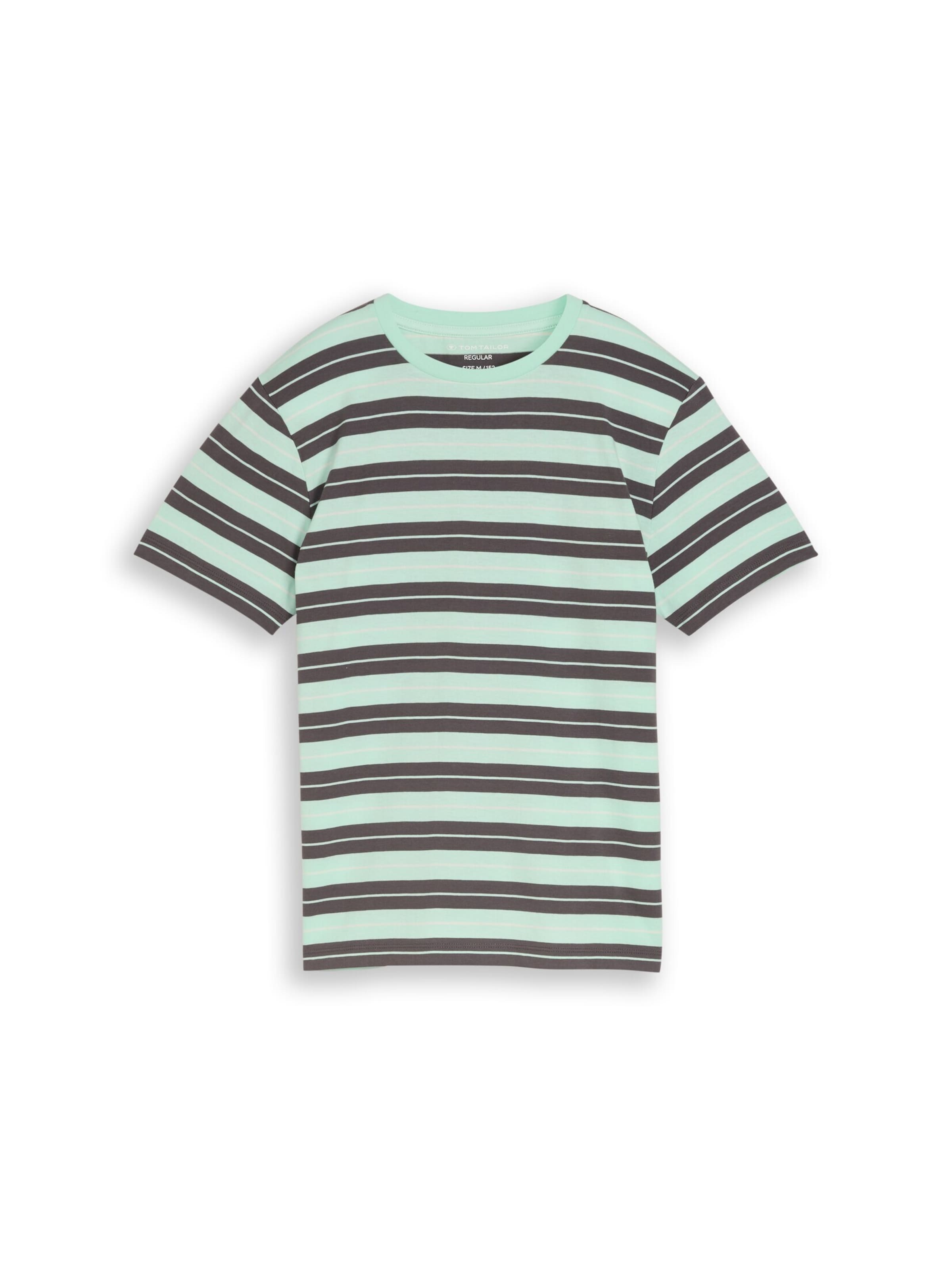 TOM TAILOR Shirt in Blue: front