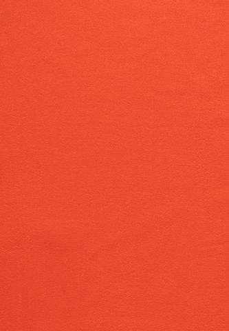 FRAAS Scarf in Orange