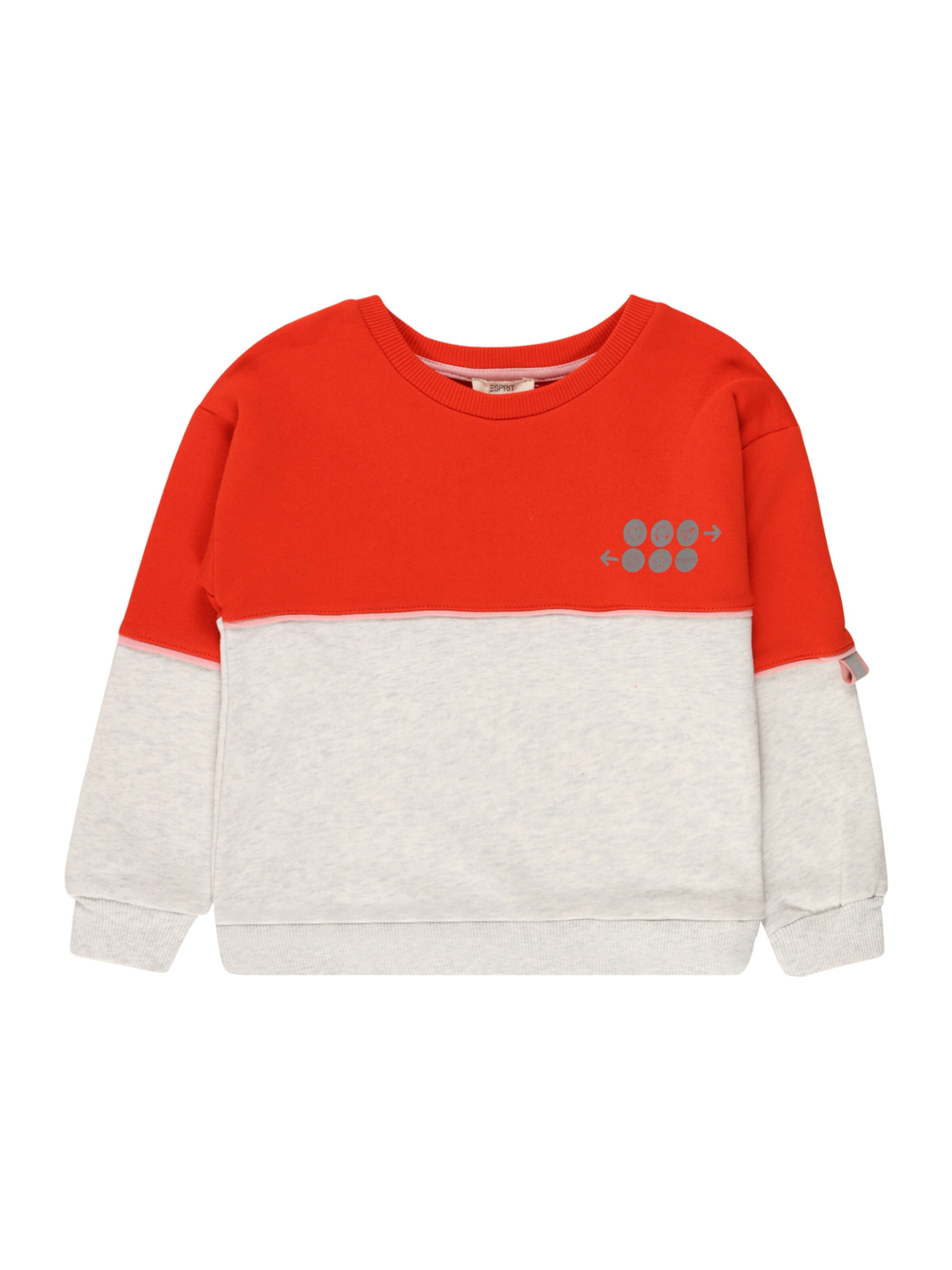 Kinder Kids (Gr. 92-140) ESPRIT Sweatshirt in Grau, Rot - LT39497