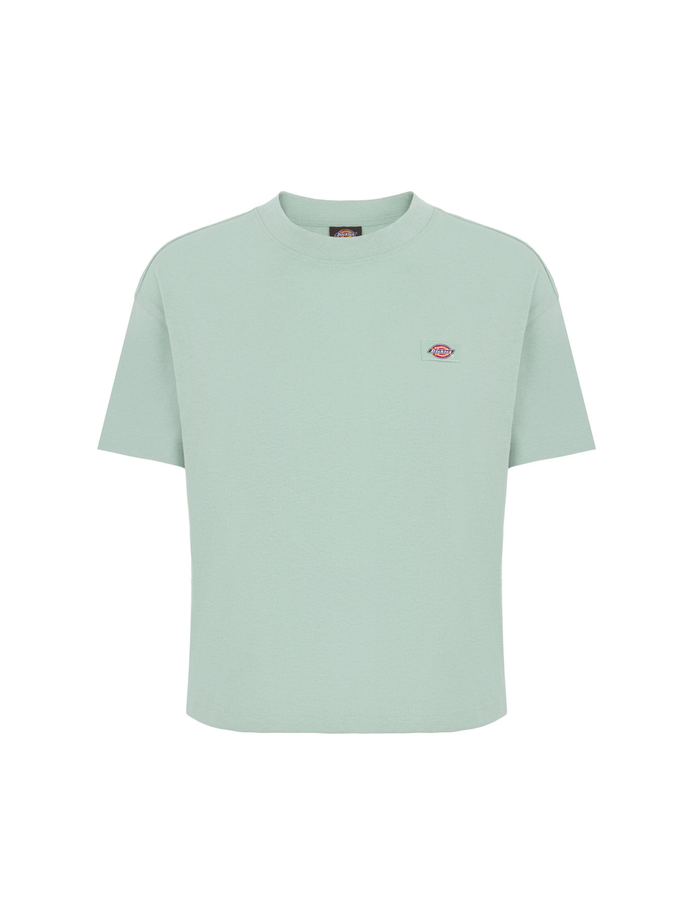 DICKIES Koszulka 'OAKPORT' w kolorze zielony: przód