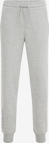 Effilé Pantalon WE Fashion en gris : devant