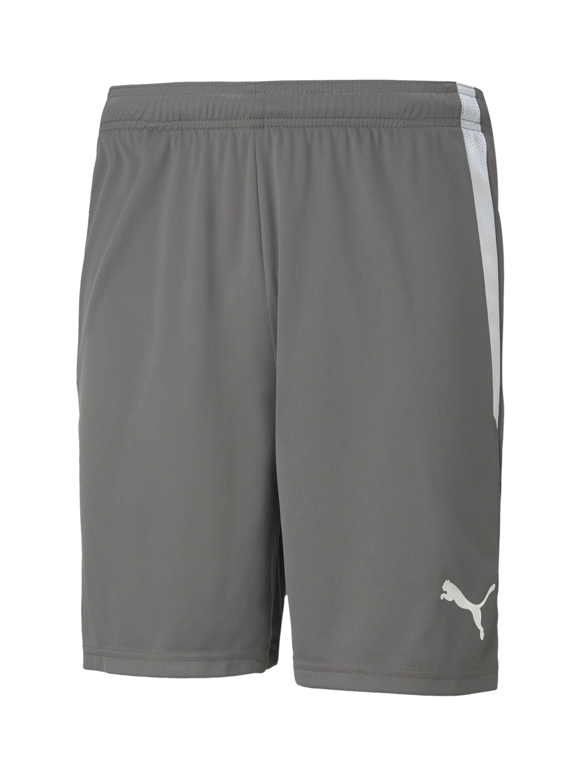 Regular Pantalon de sport 'TeamLiga' PUMA en gris : devant