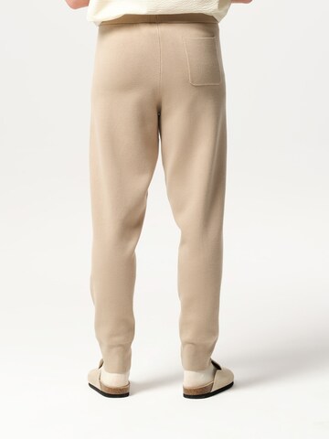 ABOUT YOU x Jaime Lorente Tapered Hose 'Miguel' in Braun