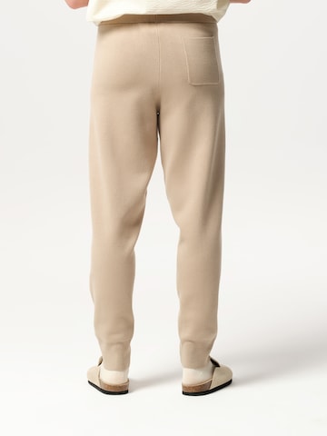 Tapered Pantaloni 'Miguel' di ABOUT YOU x Jaime Lorente in marrone