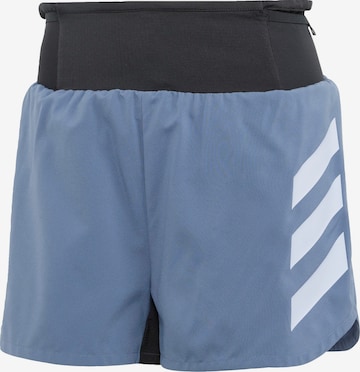 ADIDAS TERREX Workout Pants 'Agravic' in Blue: front