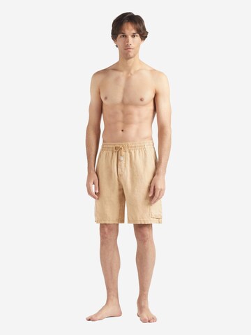 regular Pantaloni di Vilebrequin in marrone: frontale
