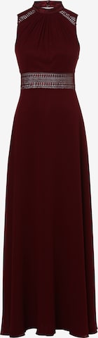 VM Vera Mont Evening Dress in Red: front