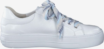 Paul Green Sneakers in White