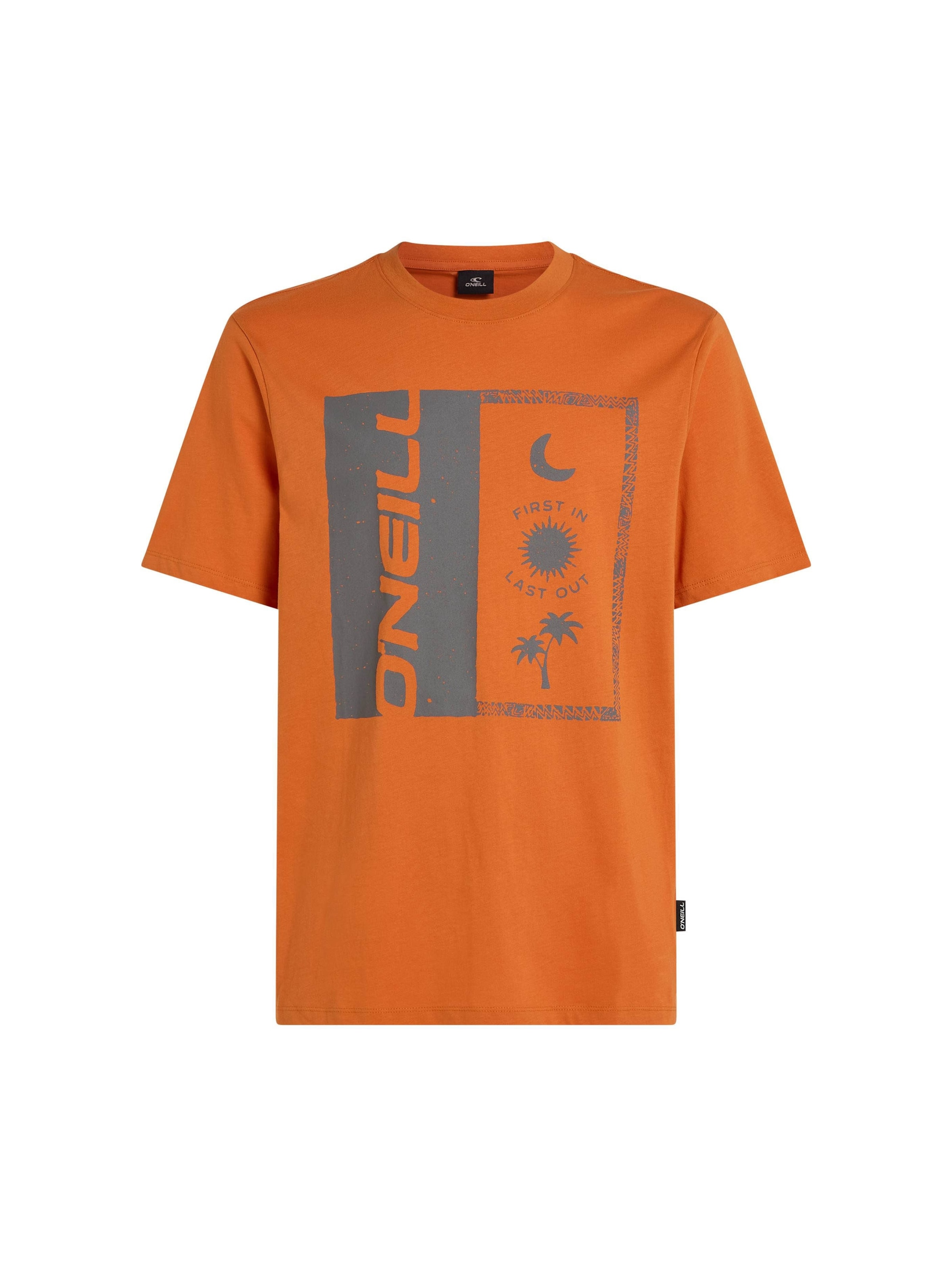 Maglietta di O'NEILL in arancione: frontale
