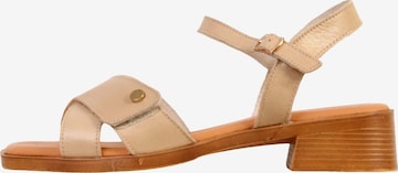 Sandales The Divine Factory en beige : devant