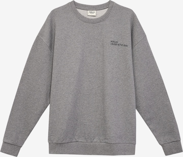 HALO Sweatshirt in Grau: Vorderseite