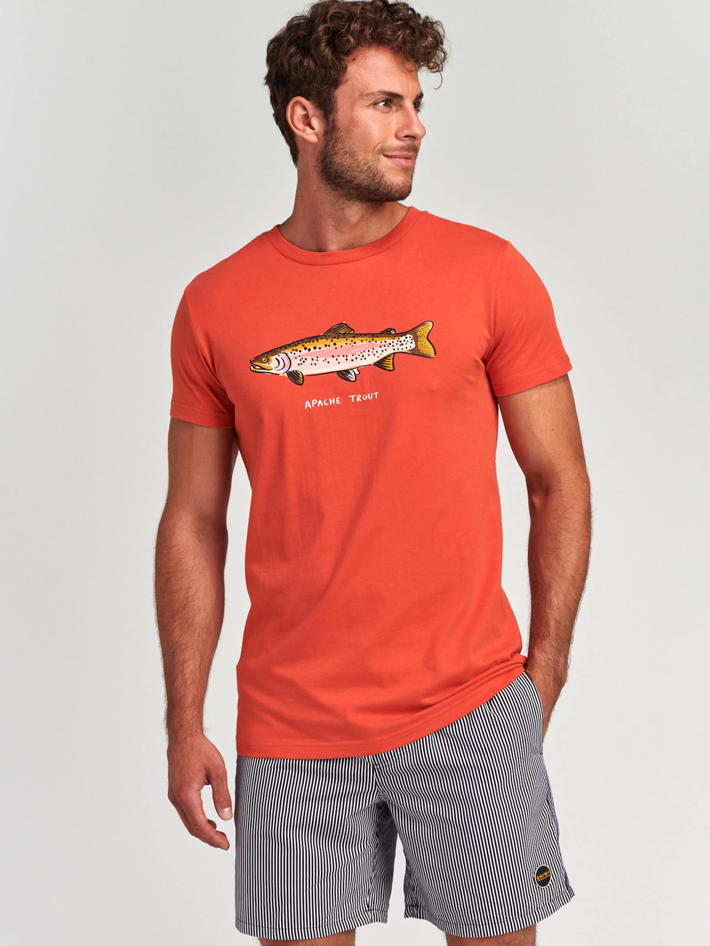 Männer Shirts Shiwi T-Shirt in Dunkelorange - PF16349