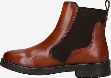 TT. BAGATT Chelsea Boots 'Zina' in Brown