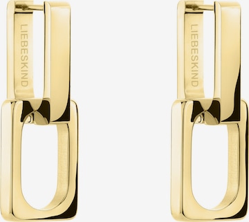 Liebeskind Berlin Earrings in Gold: front