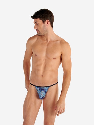 Slip ' Barrett ' HOM en bleu : devant