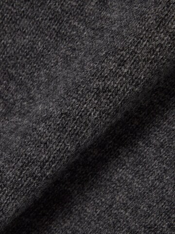 LACOSTE Sweatshirt in Grau
