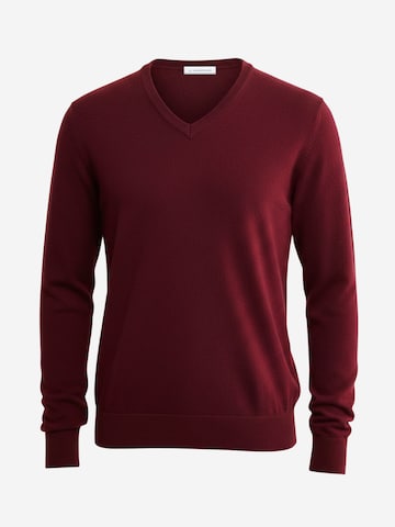 Il Lanificio Pullover‌‌‌‌‌‌‌‌‌ in Rot: Vorderseite