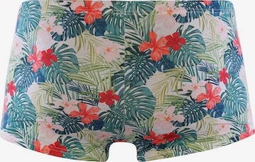 Olaf Benz Boxer shorts in Green