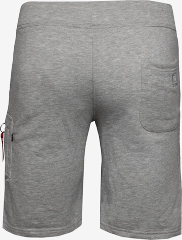 regular Pantaloni cargo di ALPHA INDUSTRIES in grigio