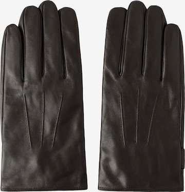 Gants Hackett London en marron : devant
