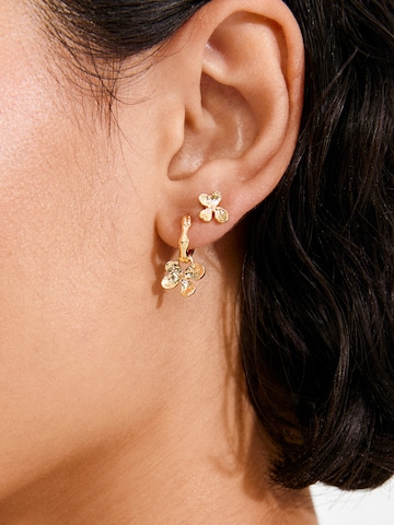 Pilgrim Kõrvarõngas 'Ajani', värv Kuld