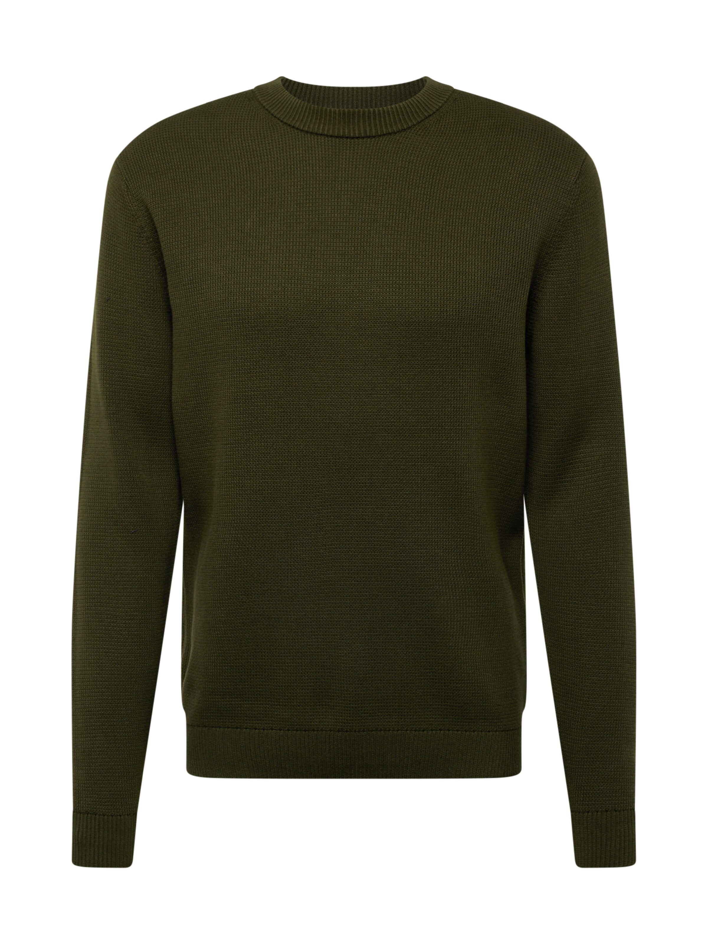 SELECTED Пуловер 'Dane' в зелено: отпред