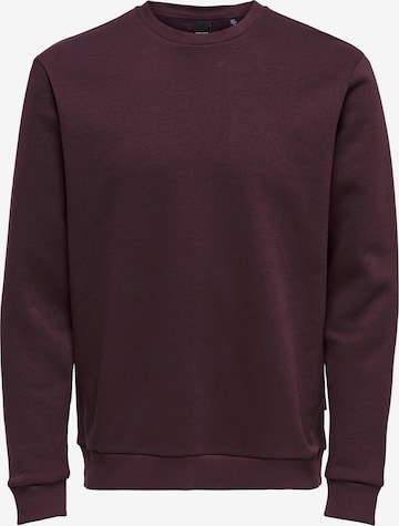 Only & Sons Sweatshirt 'Ceres' in Purple: front